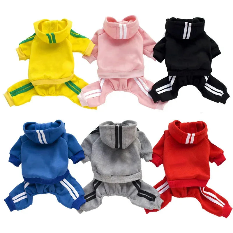 Adidog Fashion