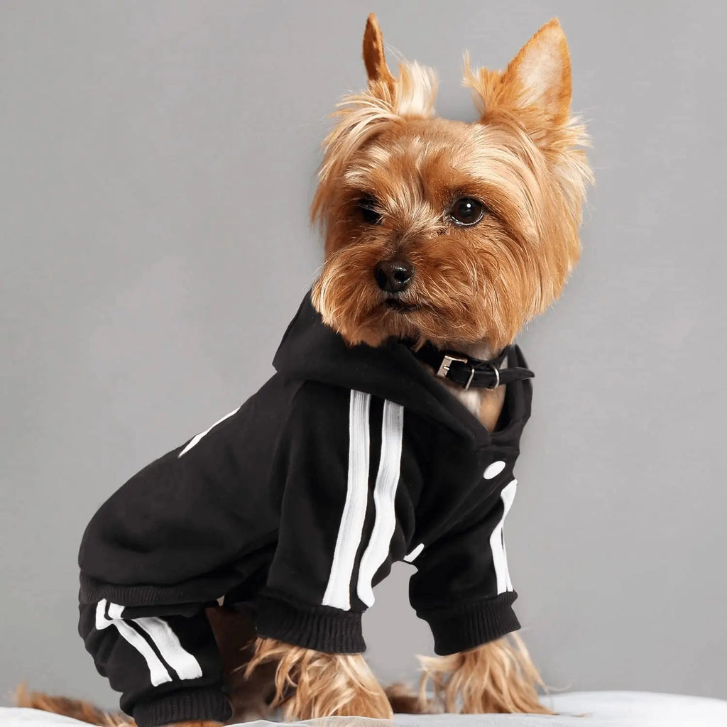 Adidog Fashion