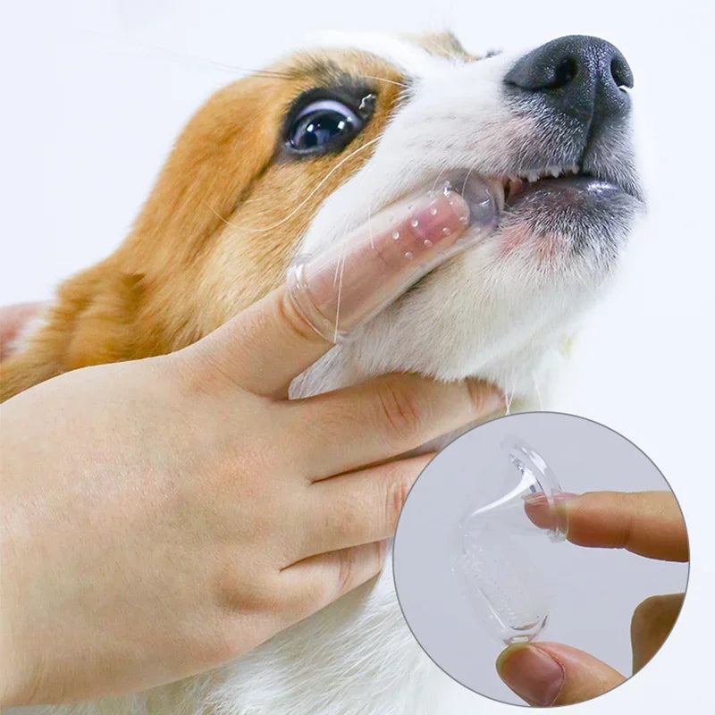 dog/cat Toothbrush