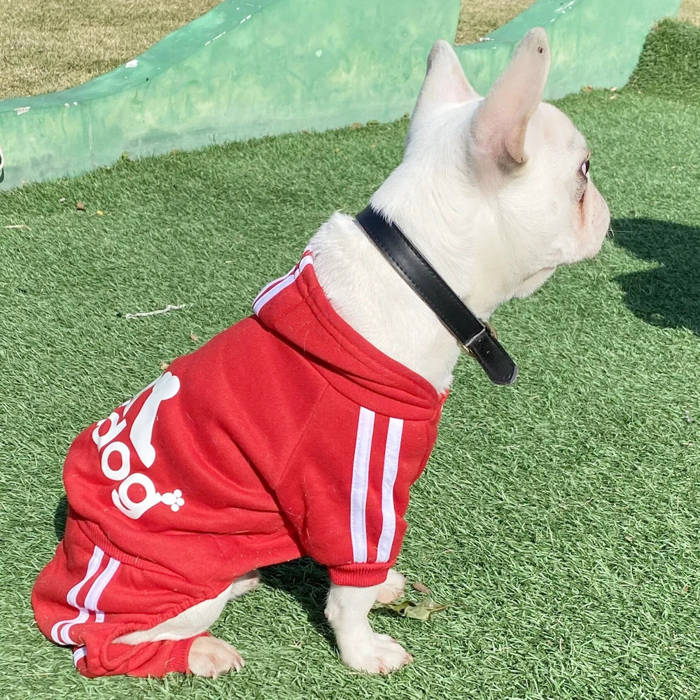 Adidog Fashion